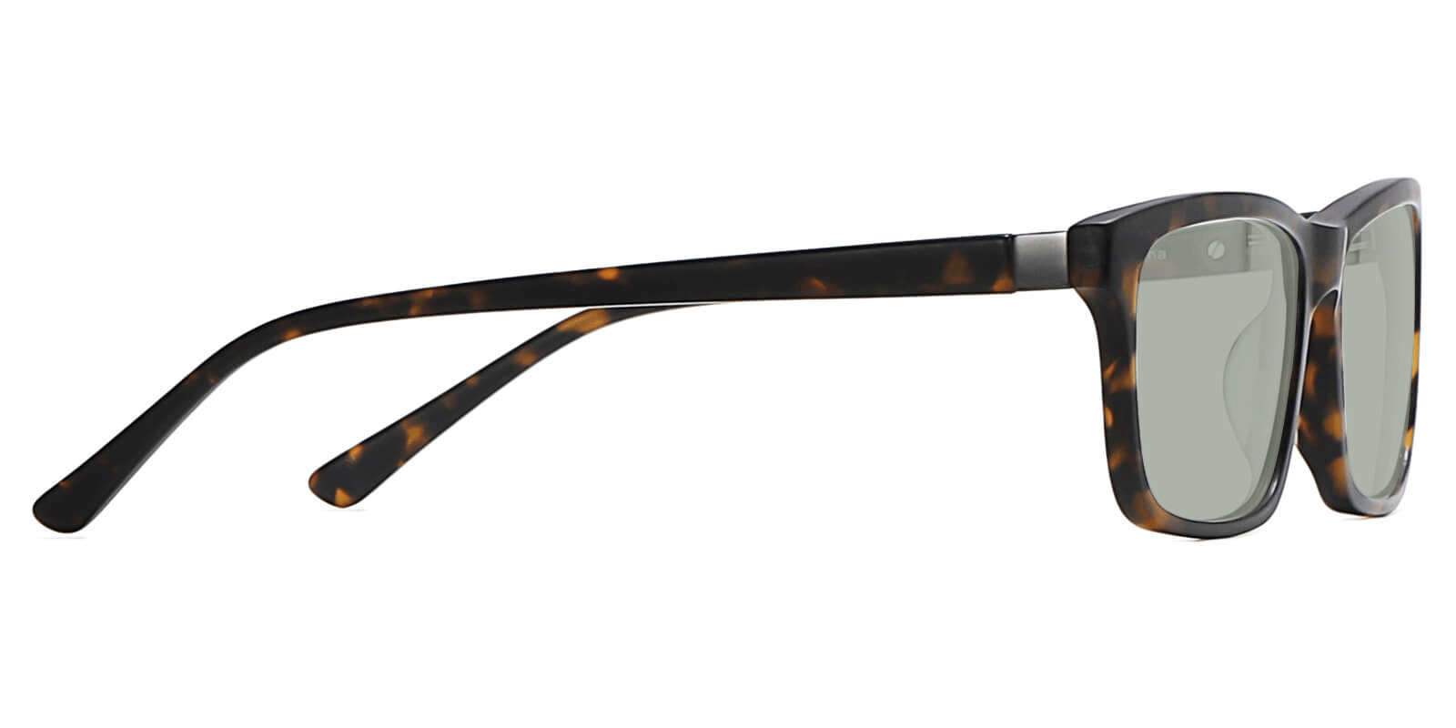 EYE8078S-Sunth-schildpad