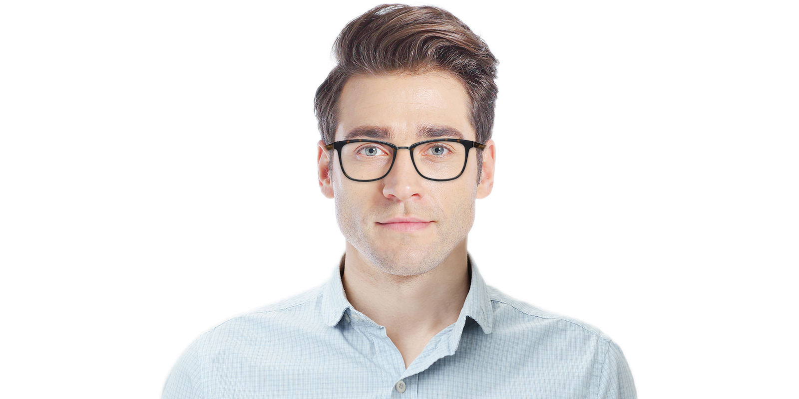 EYE8069-Willcern-schildpad