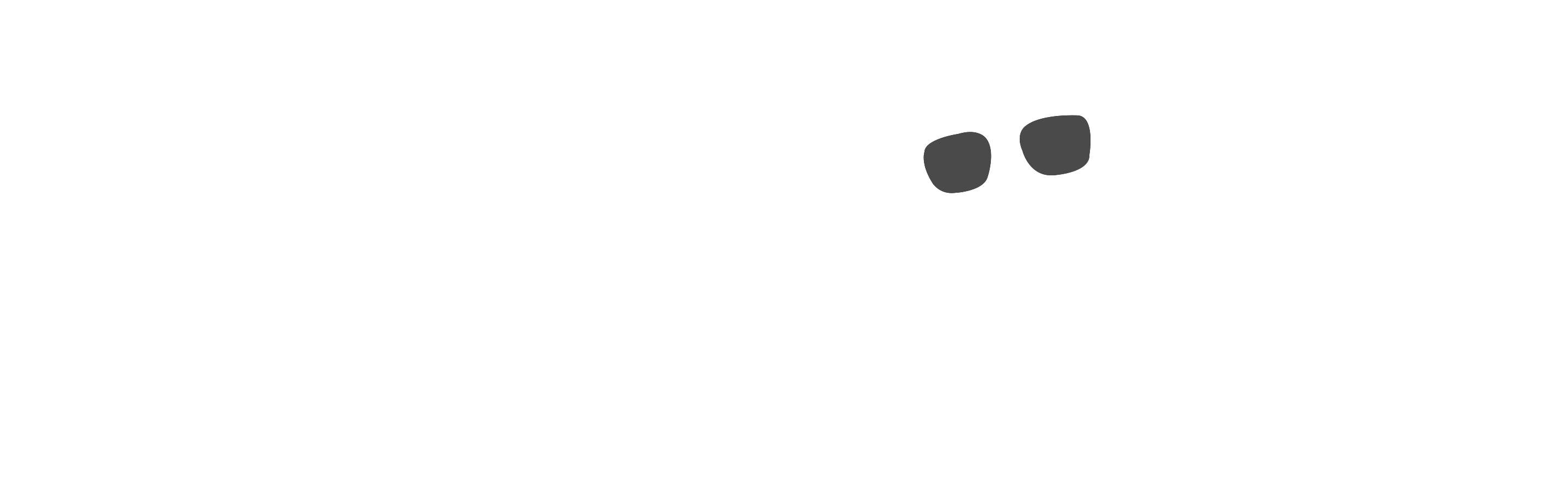 Fototrope Glazen